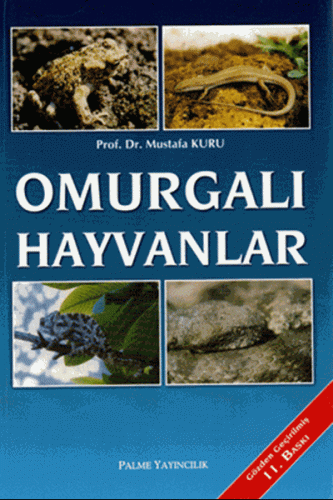 Omurgalı Hayvanlar Mustafa Kurt