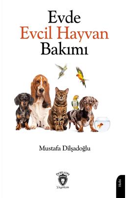 Evde Evcil Hayvan Bakımı Mustafa Dilşadoğlu