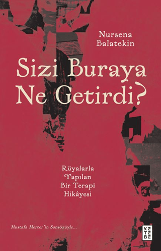 Psikoloji,Gelişim Psikolojisi, - Ketebe Yayınları - Sizi Buraya Ne Get