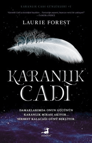 Karanlık Cadı Laurie Forest