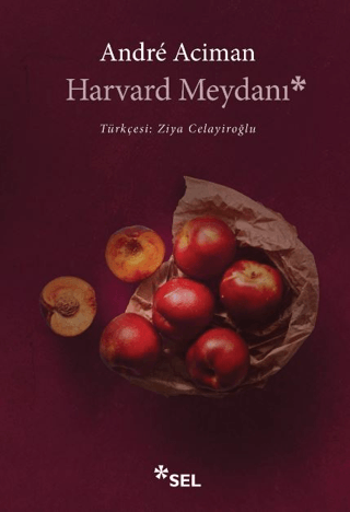 Harvard Meydanı Andre Aciman