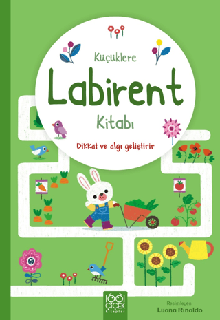 Küçüklere Labirent Kitabı Matthew Oldham