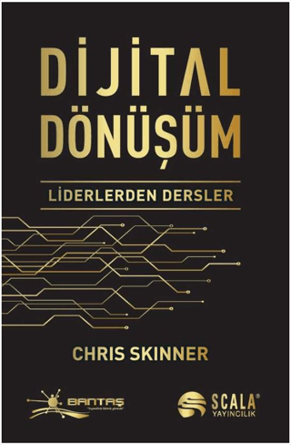 Dijital Dönüşüm Chris Skinner