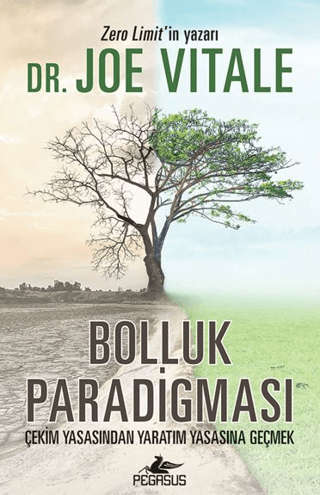 Bolluk Paradigması Joe Vitale