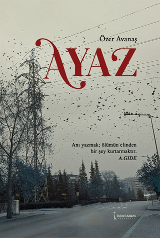 Ayaz Özer Avanaş