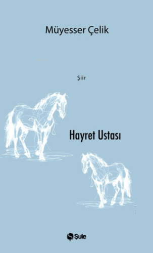 Hayret Ustası Müyesser Çelik