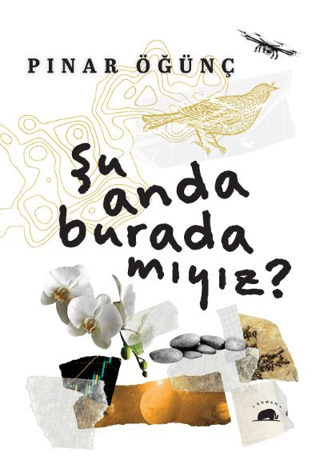 Şu Anda Burada Mıyız? Pınar Öğünç