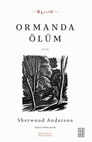 Ormanda Ölüm Sherwood Anderson