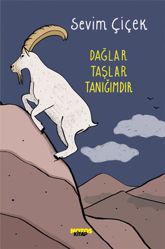 Dağlar Taşlar Tanığımdır Sevim Çiçek