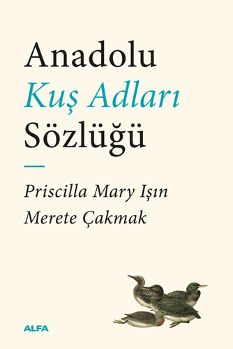 Anadolu Kuş Adları Sözlüğü Priscilla Mary Işın