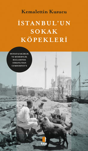 İstanbul’un Sokak Köpekleri Kemalettin Kuzucu