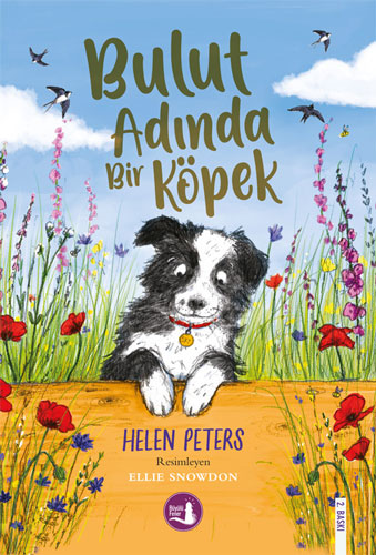 Bulut Adında Bir Köpek Helen Peters