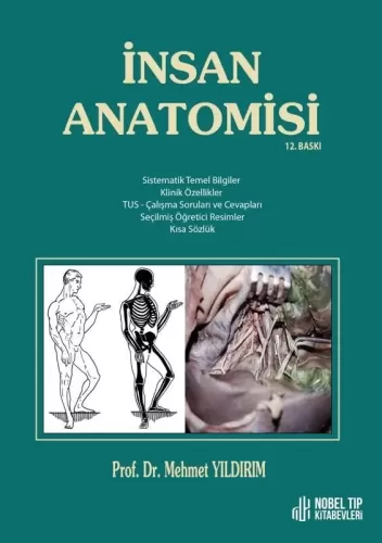 İnsan Anatomisi Mehmet Yıldırım