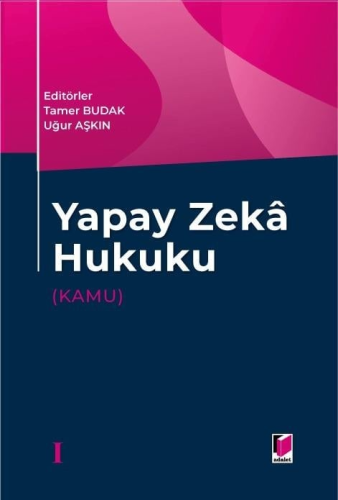 Yapay Zeka Hukuku (Kamu) Tamer Budak